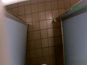 Woman spied in public toilet