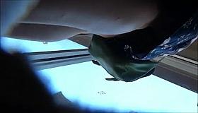 Debajo de la Falda Especial #25