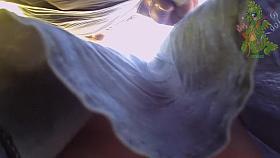 Thong and full back panty up skirts of amateur teens B0D7