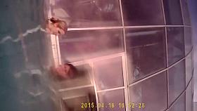 Three fillies enjoy the warm water in the sauna pool