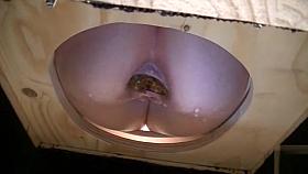 My brother's girlfriend with a nice booty taking huge feces