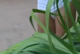 Acomodando su bombachita