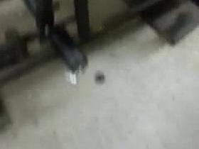 ass tone my 19 yo homegirl