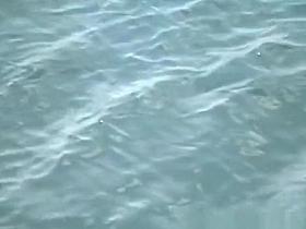 Nudist pussy eating in the water