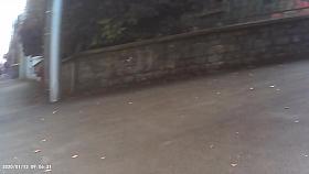 Girls public exhibition