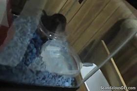 Whore Fucks Roomates Bf In Reverse Cowgirl