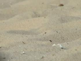 Cute lesbian teens enjoying sunbathing at nudist beach