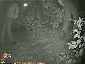 That nasty bitch is pissing in the forest at night