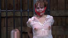 Pretty babe's sweet nipples receives painful torturing