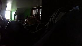 Friends with benifits