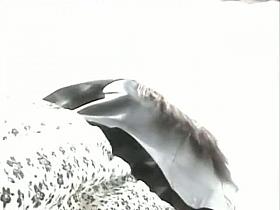 no pants upskirt in fishnet stockings and asking for it big time