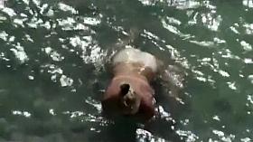 Dainty girl in beach cabin