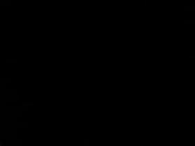 Window Peep Neighbor