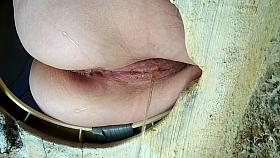 Piss hidden cams in the toilet