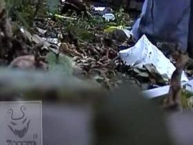 Girls Pissing voyeur video 262