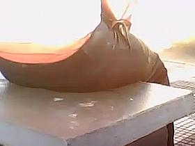 Calcinha coroa aparecendo sentada no ponto