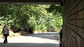 Gagged slut suspended from a bridge