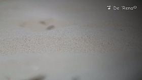 A fresh topless blonde gets suntanned on the beach