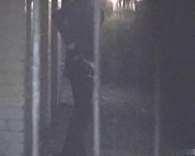 Girls Pissing voyeur video 162