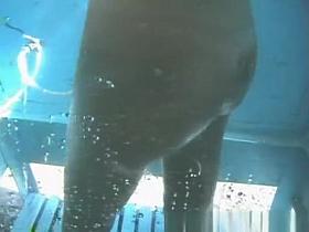 Crazy Russian, Voyeur, Beach Movie Ever Seen