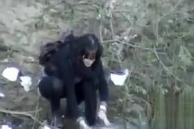 Outdoor voyeur pissing scenes