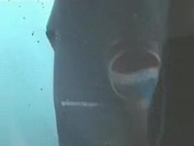 Spy Cam Shows Russian, Beach, Spy Cam Clip Exclusive Version