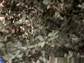 Chick pissing in the nature