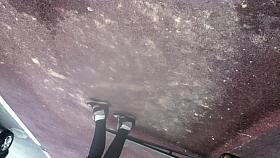 Brunette with beautiful ass un leggings