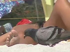 Hairy Milfs at Nude Beach