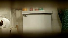 toilet wc spy voyeur