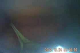 Bajo falda colegiala 6