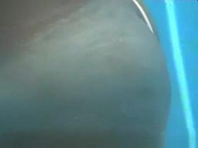 New Russian, Beach, Changing Room Scene Just For You