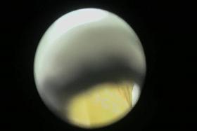 Cam is recording Asian back through the shower hole snr43