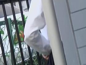 Hot sexy Asian girl got boob sharked when taking a shortcut