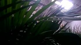 sexy milf upskirt no panties