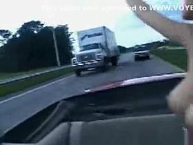 Great Tits Get Some Air