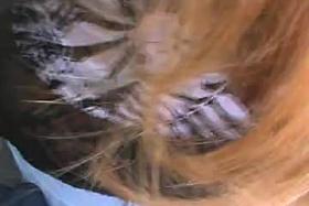 encoxando loirona 1 de maio BH