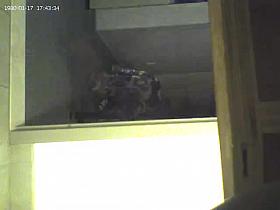 Aunty In The washroom