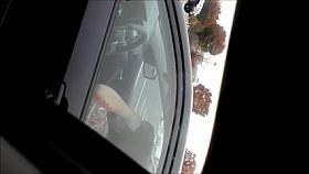 Dick Flash Lady on the phone