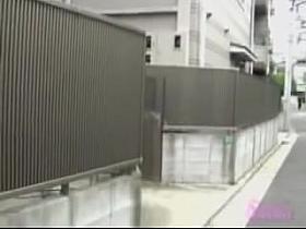 Japan beauty participating on sharking vid 