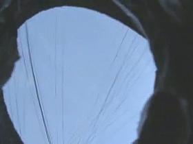 Her fabulous hairy pussy gets on the hidden camera