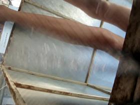 Amazing pair of smooth legs on spy cam in dressing room