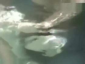 Voyeur movie open-air hot spring