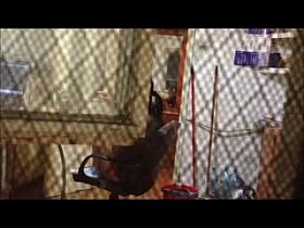 Romanian window voyeur 5