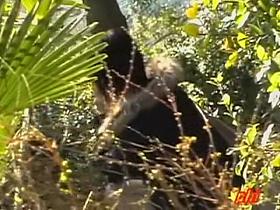 Skirt sharked babe hid in the bushes after the shark attack