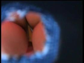 Greek market upskirt