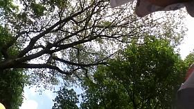 upskirt tanga blanca