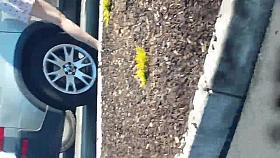 Upskirt while waiting in the drivethru