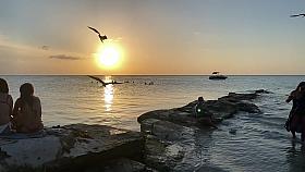 Bikini Watch at Isla Holbox