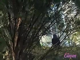 Asian babe gets embarrassing skirt sharking in a public park.